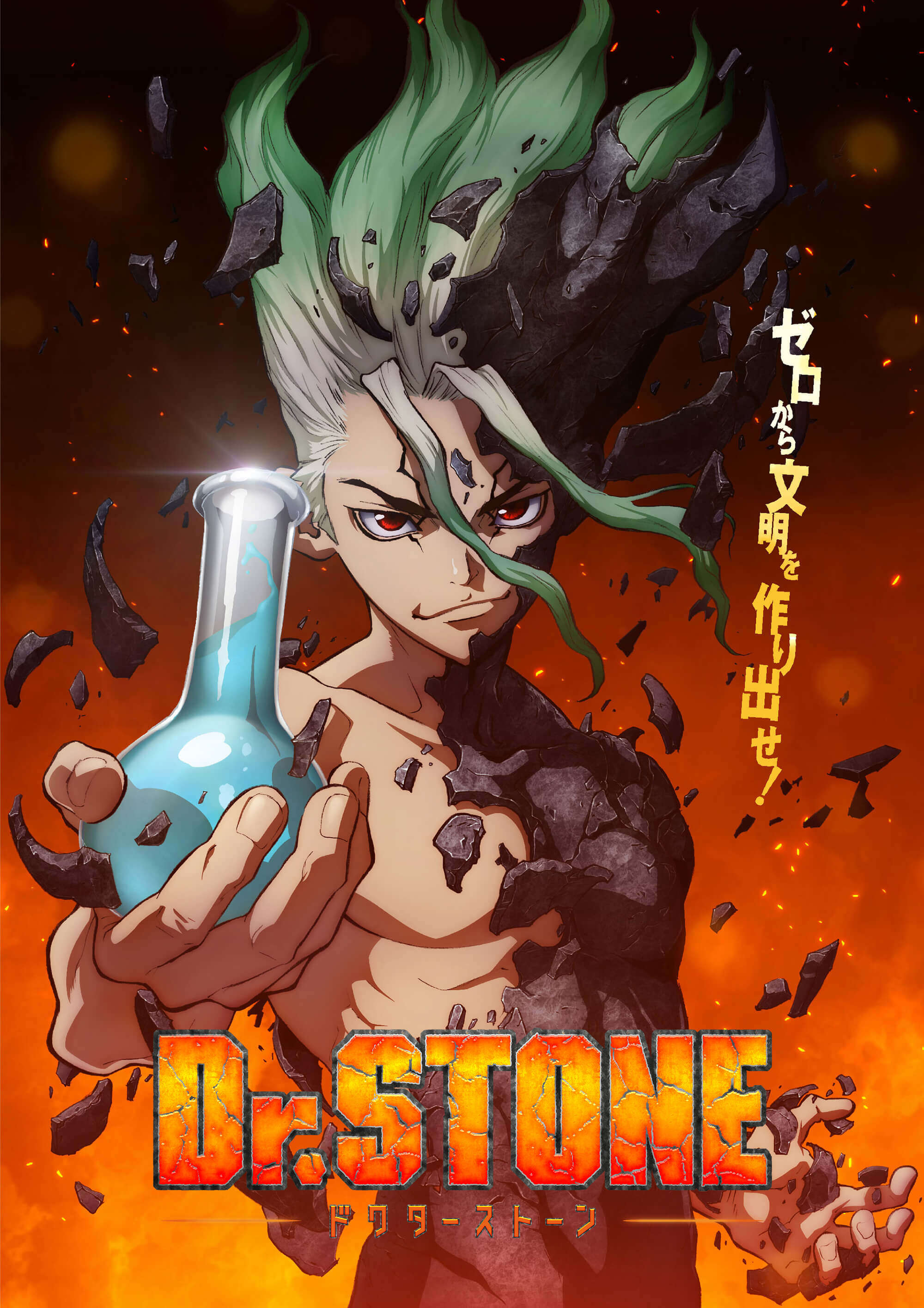 Dr. Stone