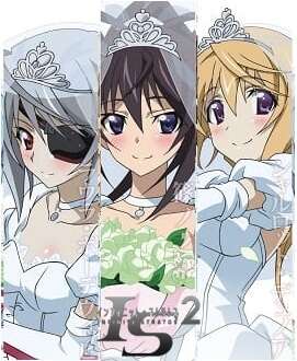 IS: Infinite Stratos 2 - Infinite Wedding