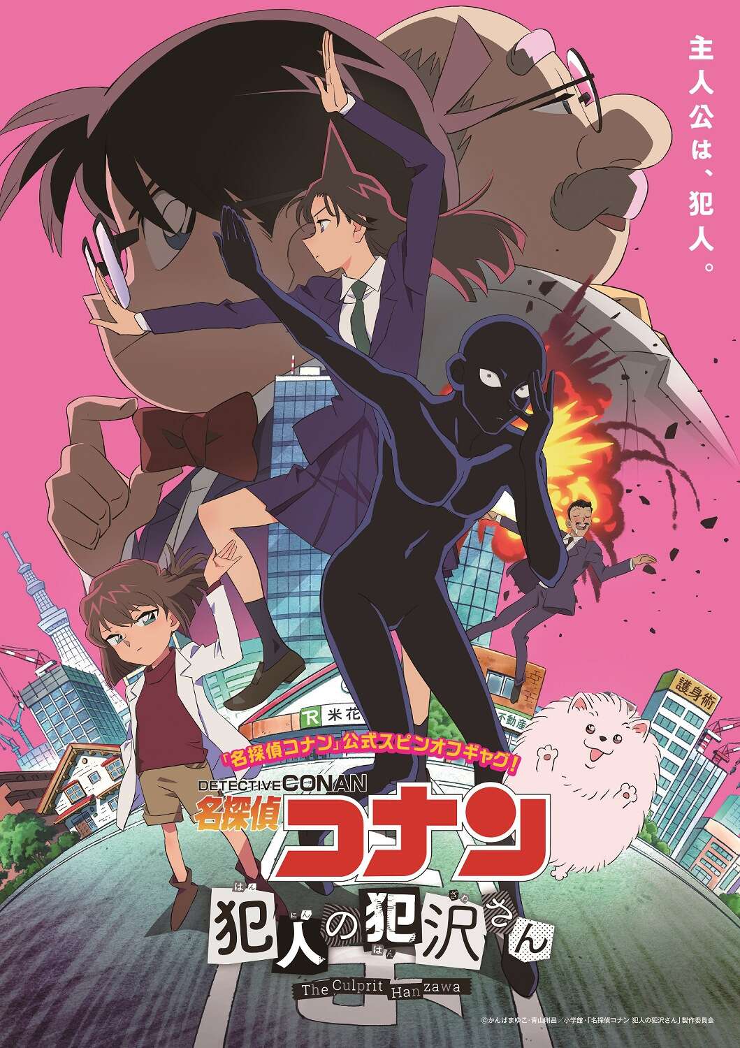 Detective Conan: The Culprit Hanzawa
